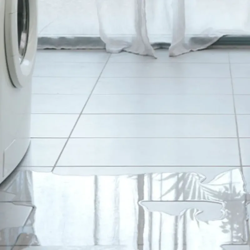 Appliance Leak Cleanup in Evergreen, MT