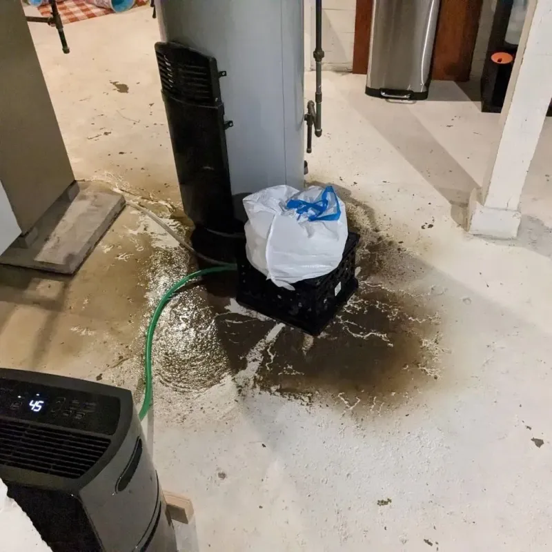 Sewage Backup Cleanup Service in Evergreen, MT